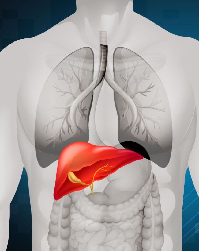 Liver Disease Symptoms-1-2-3-4-5-6-7