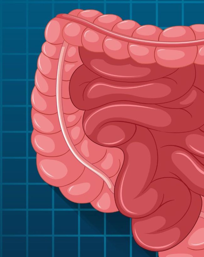 nabhi ke peeche kaun sa ang hai-1-2-3