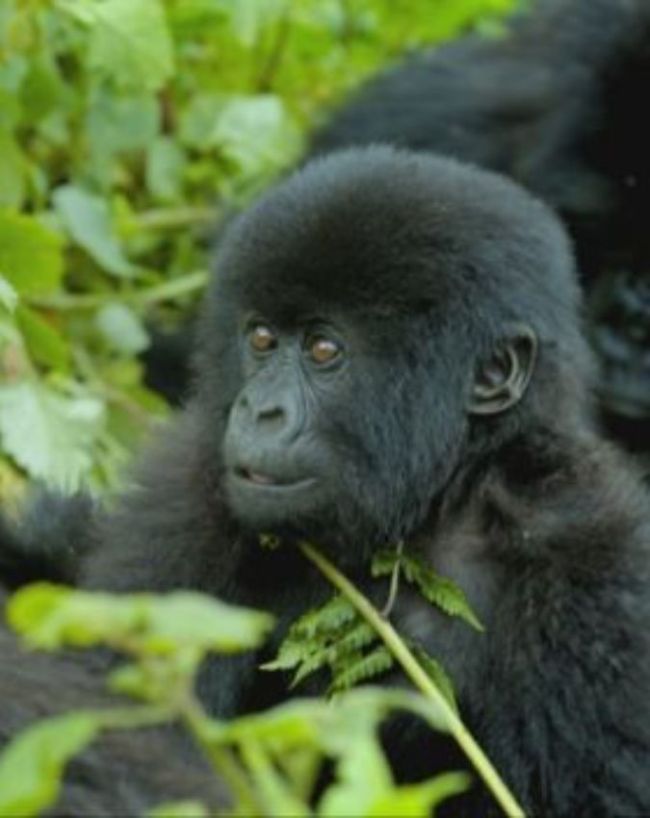 Upcoming Friday OTT Releases-1-2-3-4-5-6-7