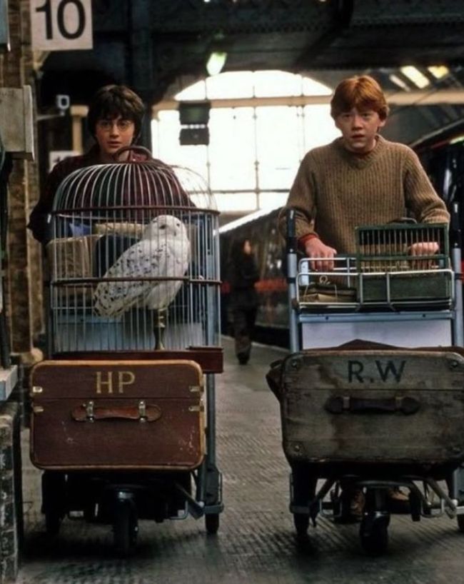 Harry Potter movies on Jio Hotstar-1-2-3-4-5-6-7-8