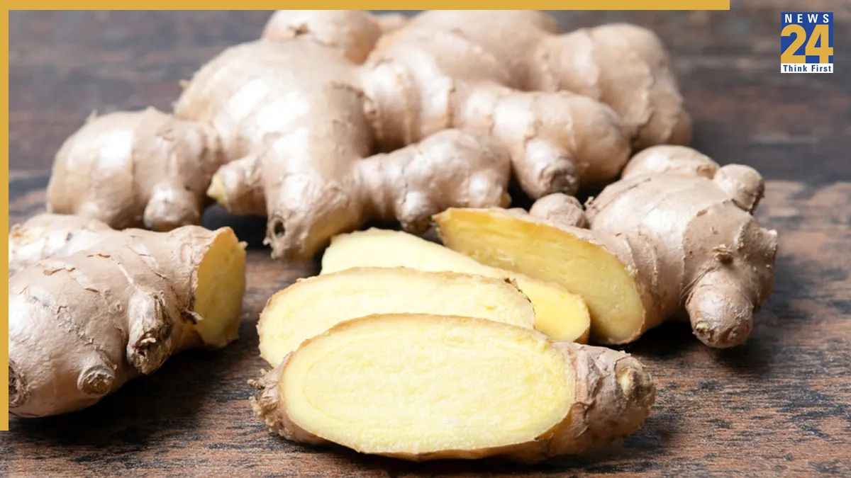 ना सूखेगा, ना होगा खराब… अदरक को महीने भर तक फ्रेश रखने के आसान स्टोरिंग हैक्स