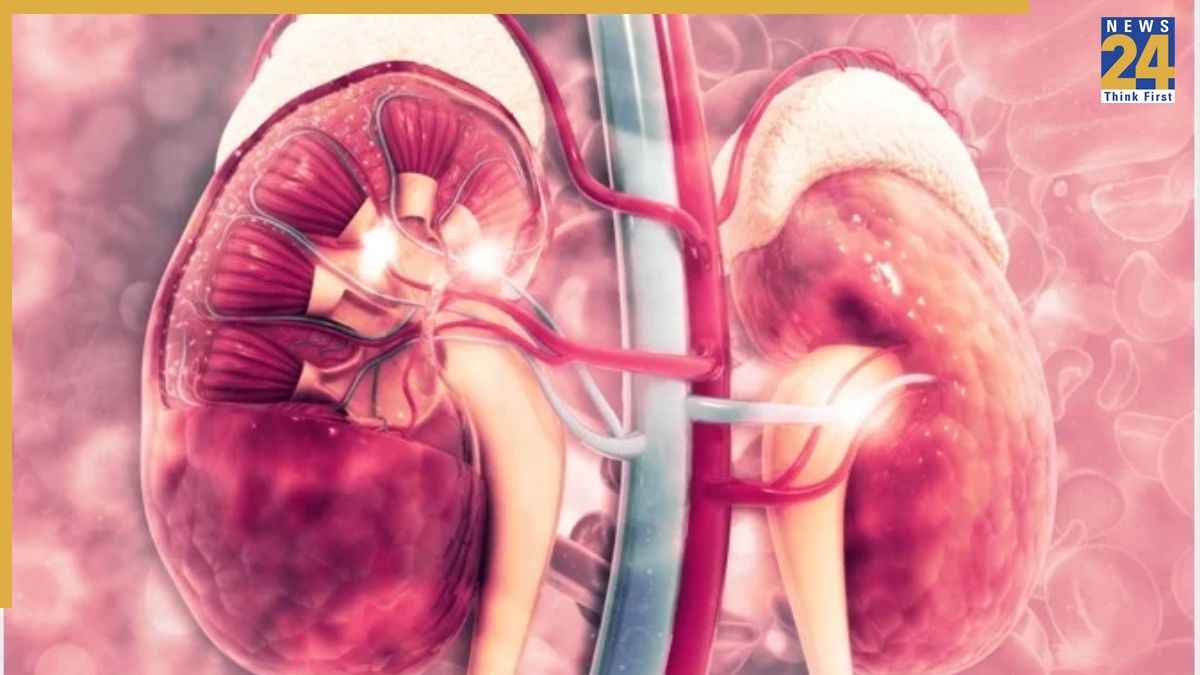 kidney damage symptoms kidney damage symptoms