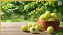 Amla Plant Growing Tips