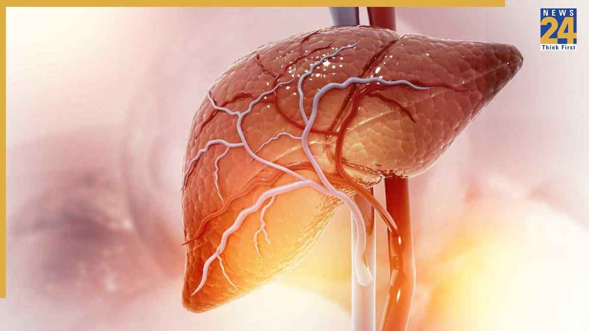 Liver Damage Tips