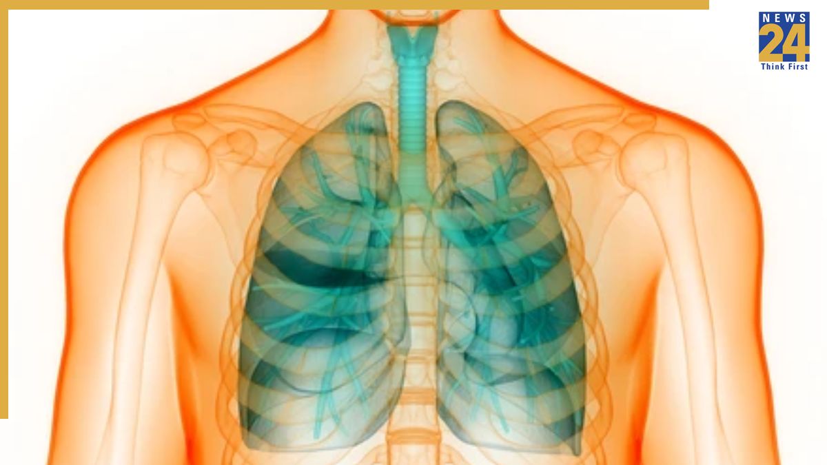 Which Colour Cough Is Dangrrous Which Colour Cough Is Dangrrous-1