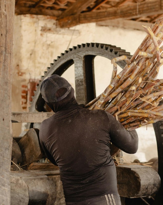 Does Sugarcane Juice Increase Blood Pressure-1-2-3-4-5