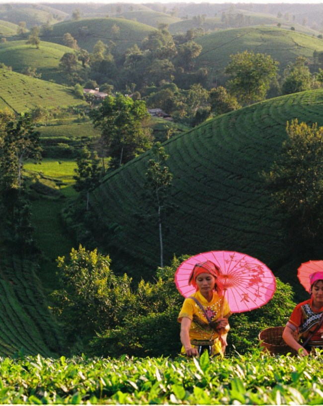 Restricted Area Permit India-1-2-3-4-5-6