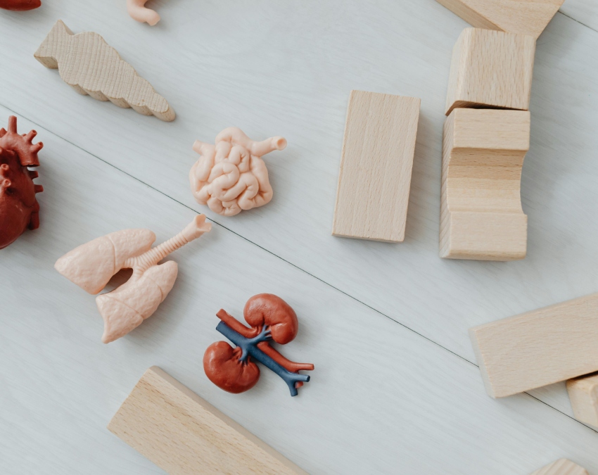 Brain Tumor Symptoms -1-2-3-4-5-6-7-8-9