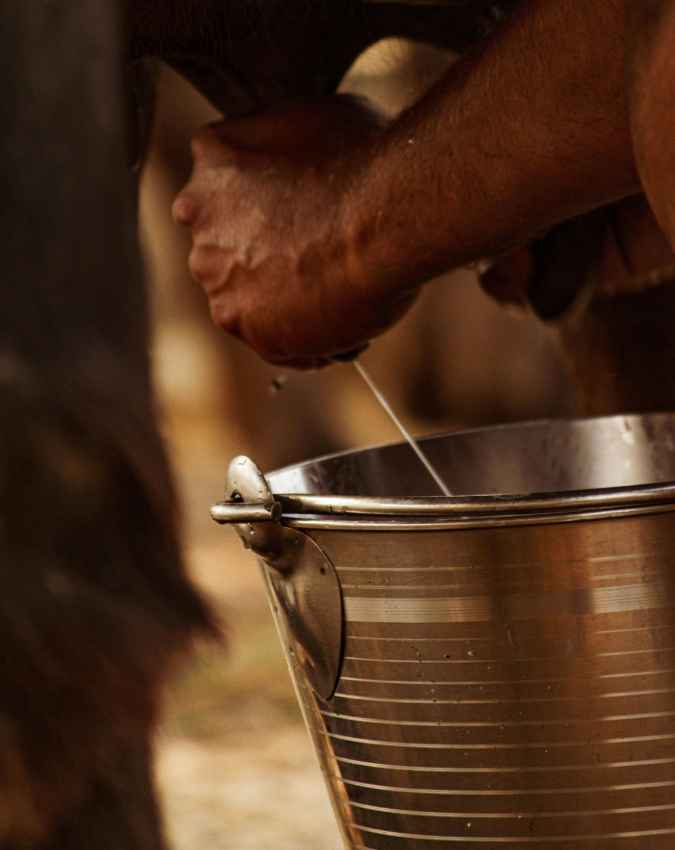 पाचन और दिल की सेहत के लिए कितना फायदेमंद?