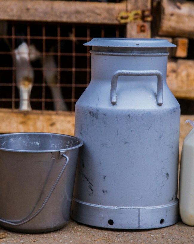 Oontni Ka Doodh Meetha-1-2-3-4-5