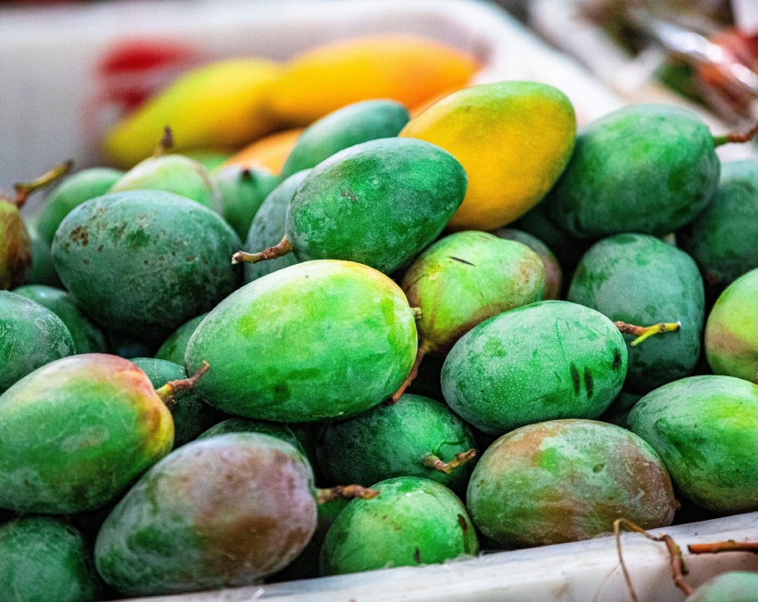 How To Choose Good Mango-1-2-3-4-5-6-7-8