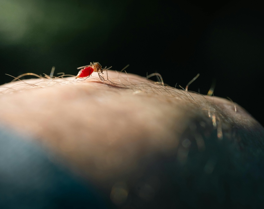 Brain Malaria Symptoms-1-2-3-4-5