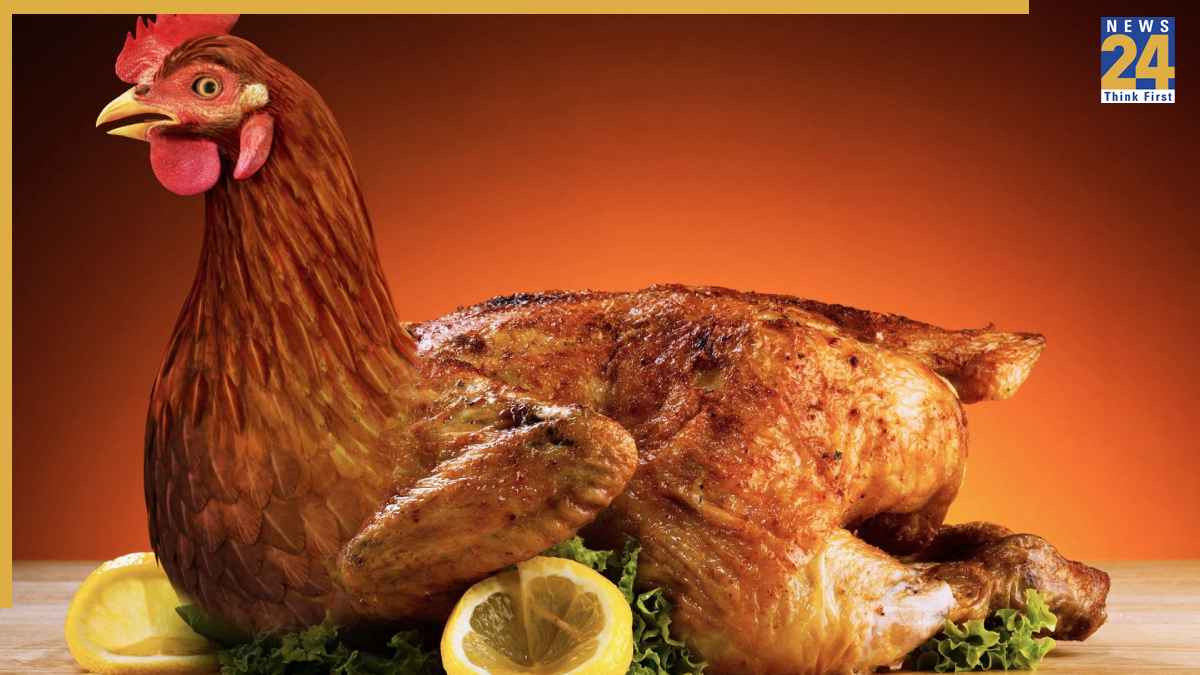 Chicken Ka Kaunsa Part Nahi Khana Chahiye Chicken Ka Kaunsa Part Nahi Khana Chahiye