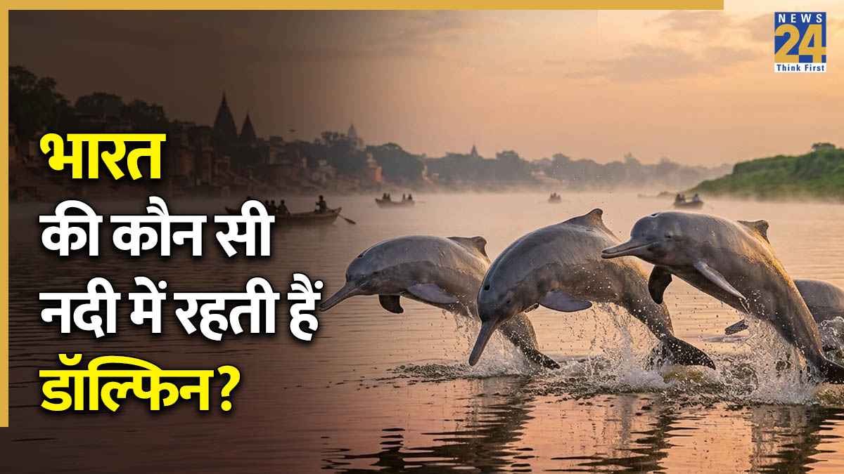 Where Do We Find Dolphins In India