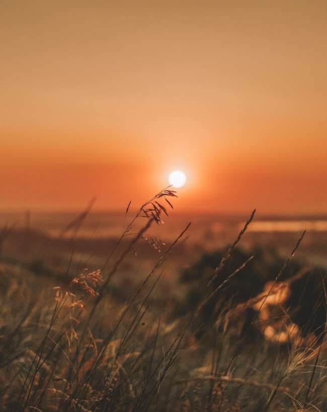 skin kitni degree mein jal jaati hai-1-2-3-4-5