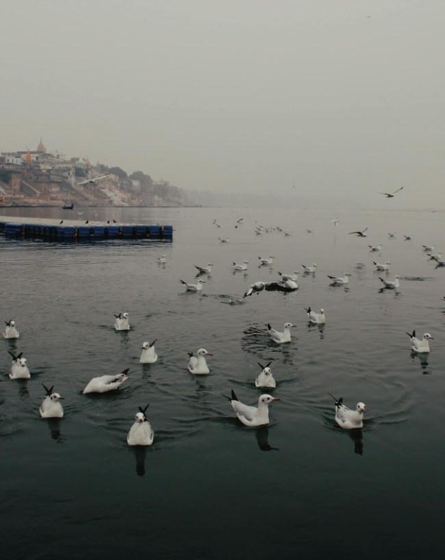 Ganga Ki Depth-1-2-3-4-5-6