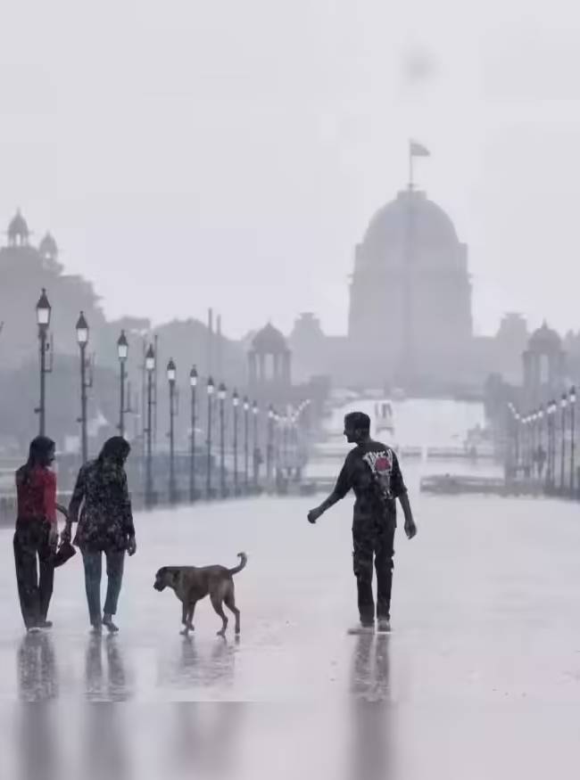 IMD Weather Forecast-1-2