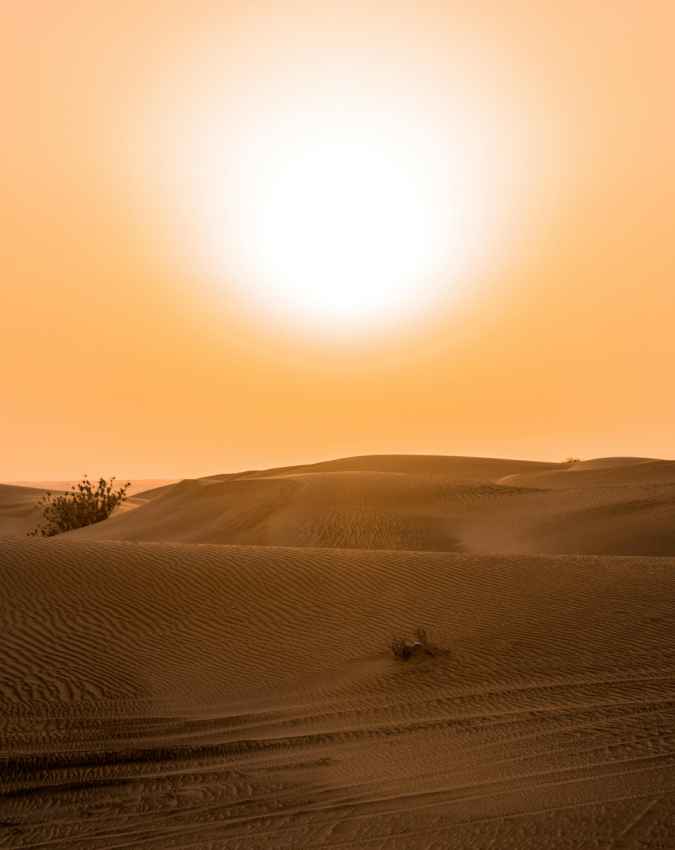 चीन का बड़ा ग्रीन प्रोजेक्ट बना मिसाल