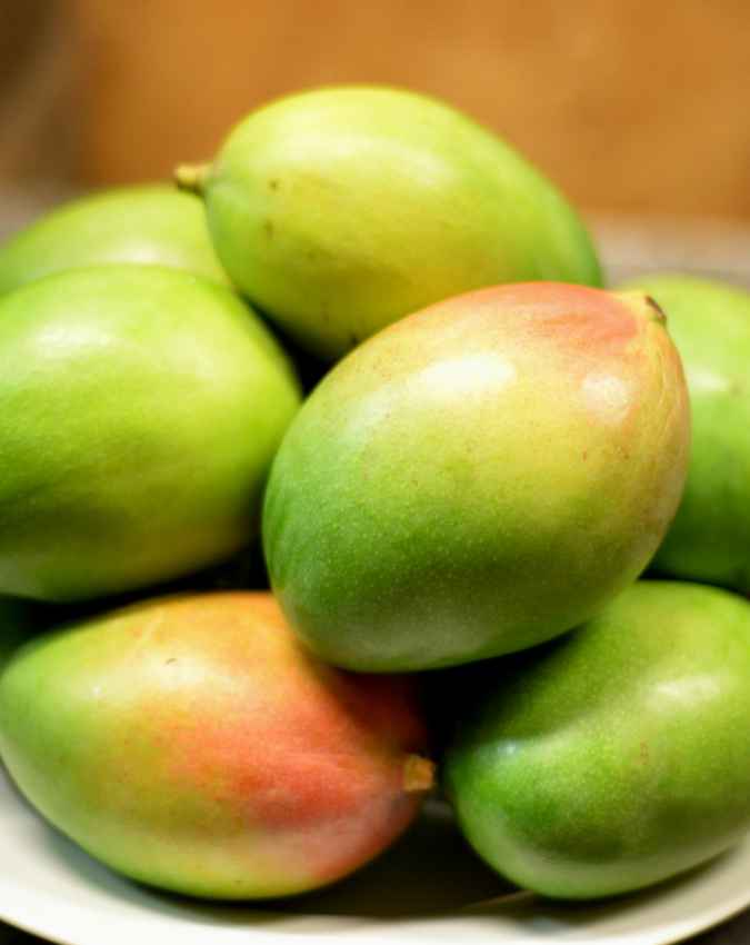 आम को लेकर लोगों में क्यों है इतना डर