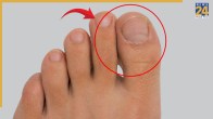 Finger Bigger Than Thumb Meaning