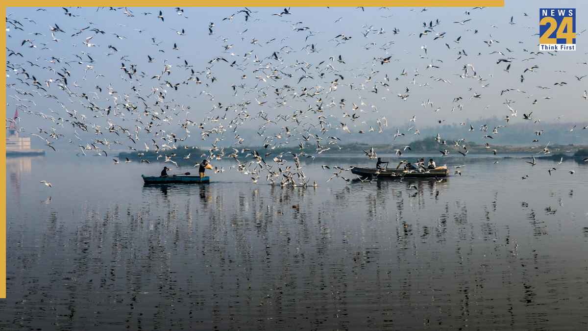 गंगा या सिंधु, कौन है भारत की सबसे लंबी नदी? जनाब चौंका देगा