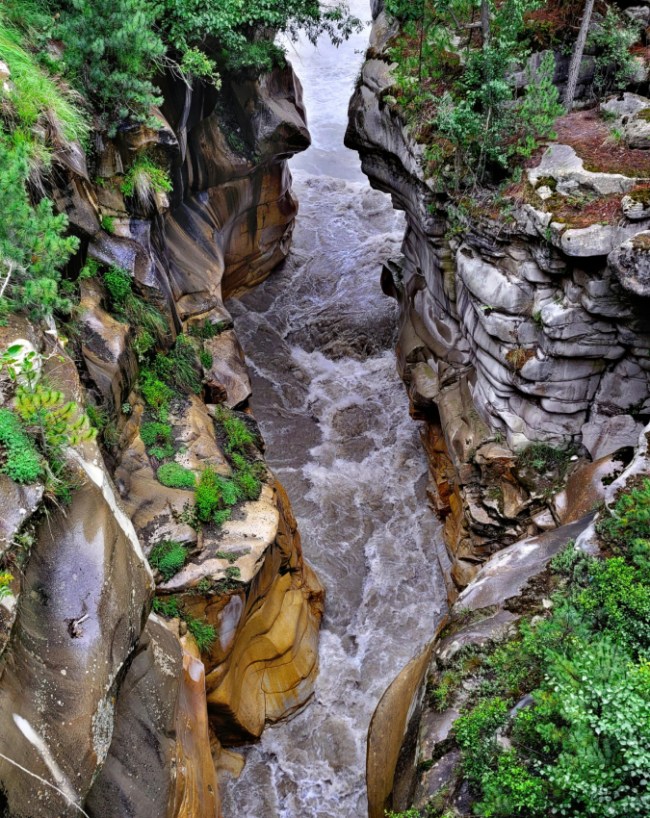 Ganga Se Padma Kaise Banti Hai-1-2-3-4-5