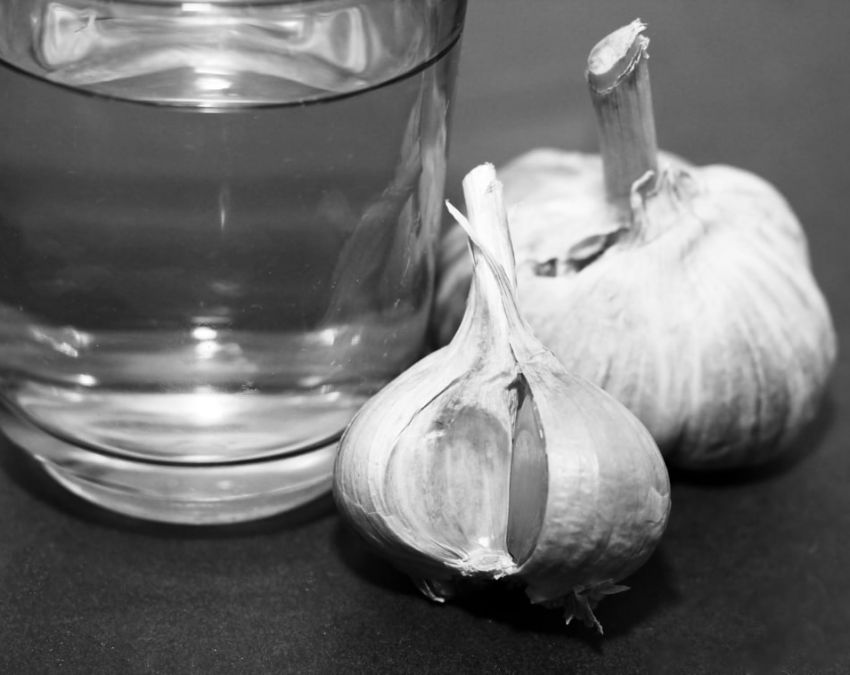 Lahsun Water Benefits-1-2