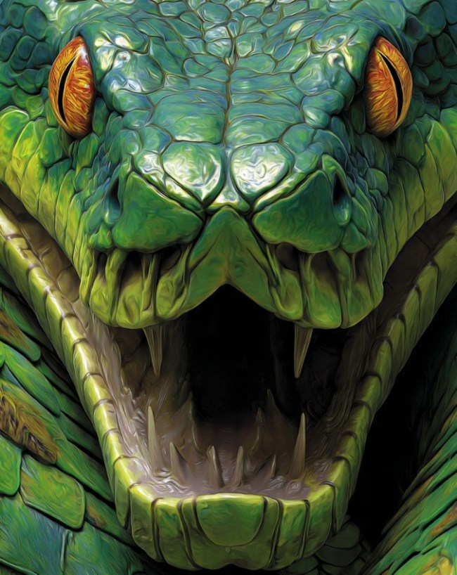 Anaconda Habitat Amazon Jungle-1-2-3-4