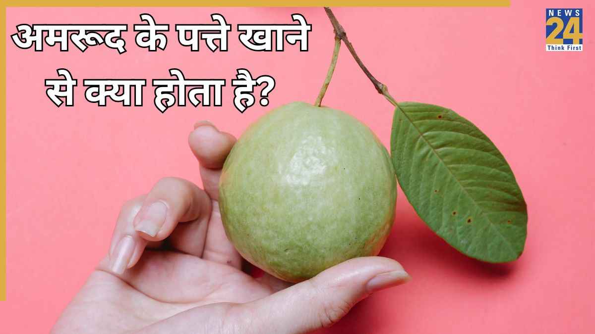 Chewing Guava Leaves
