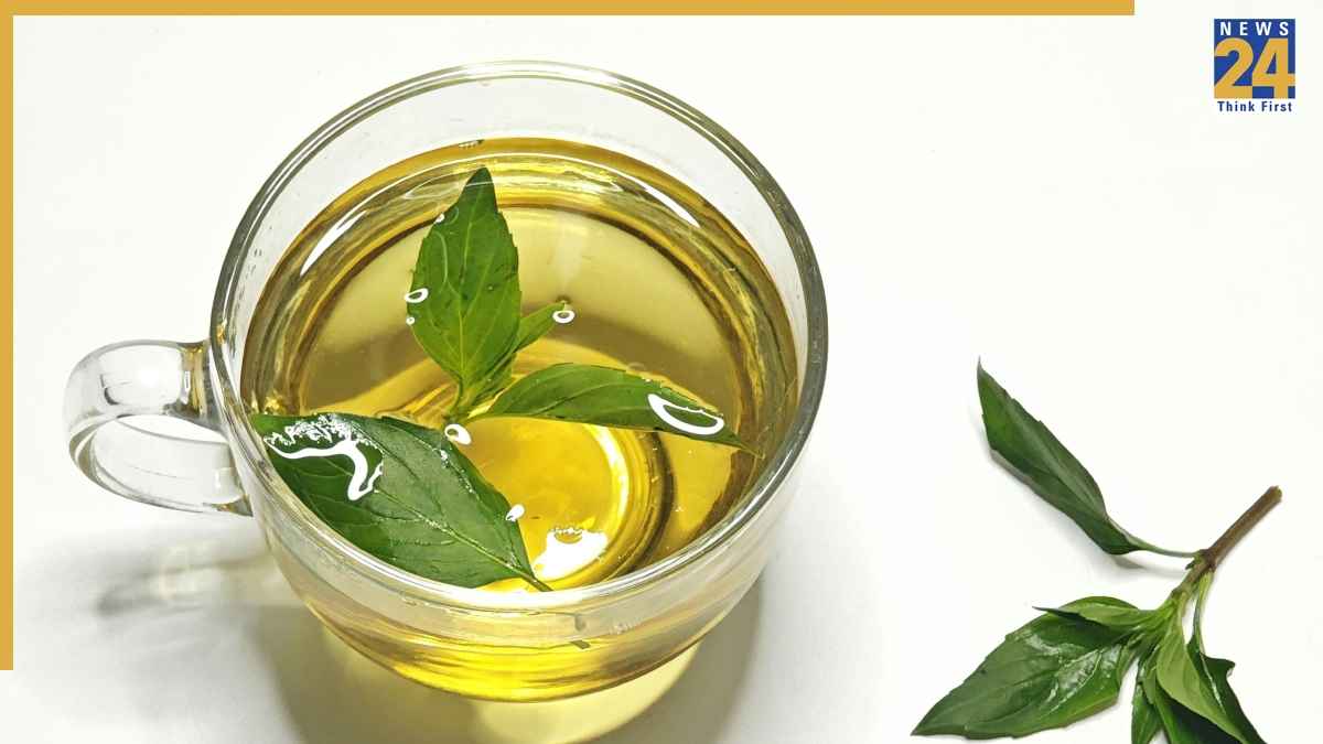 कौन सी हर्बल टी किडनी को रखती है साफ? बॉडी डिटॉक्स करने के लिए अभी करें ट्राई