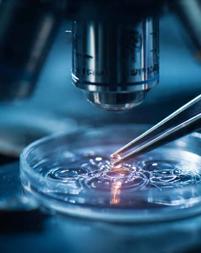क्या IVF से पैदा बच्चे कमजोर होते हैं