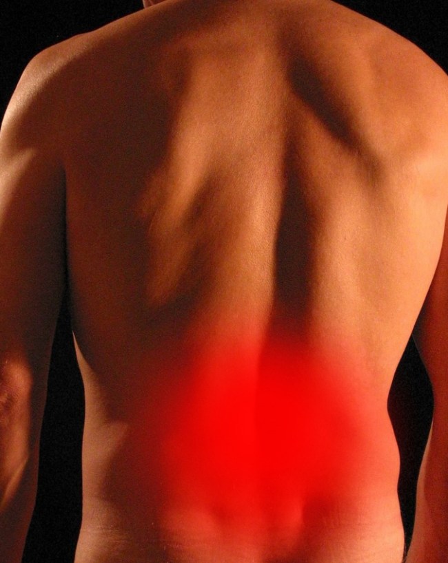 AC Effect on Bones-1-2-3-4-5-6-7