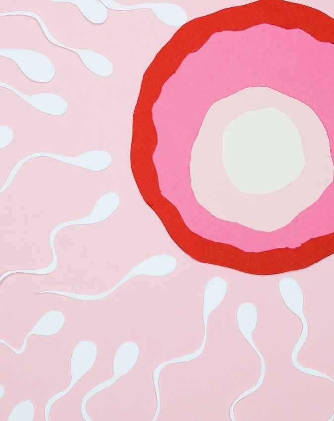 IVF से सिर्फ लड़का होता है