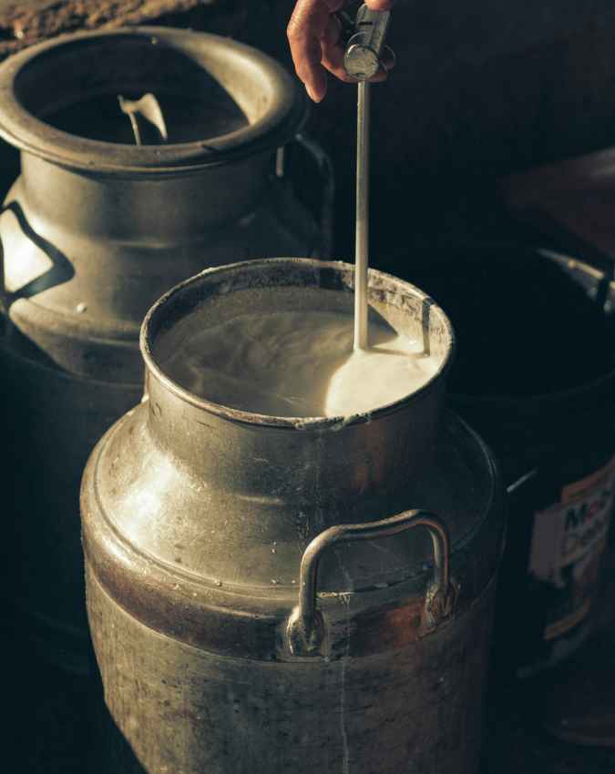 80 रुपये लीटर के हिसाब से कितनी होगी कमाई?