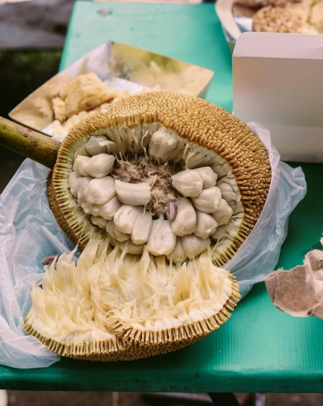 Jackfruit Side Effects-1-2-3-4-5-6-7