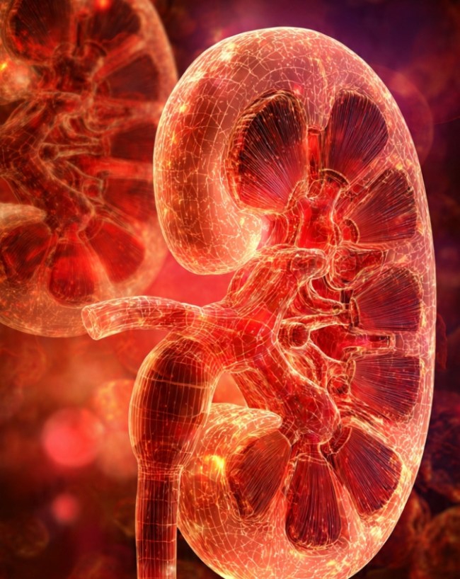 Kidney Pain Symptoms-1-2-3