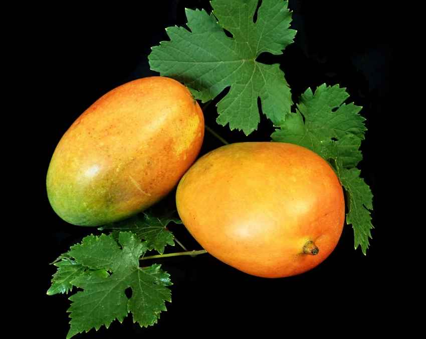 दाग और निशान देखकर करें सही चुनाव