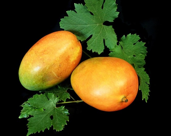How To Choose Good Mango-1-2-3-4-5