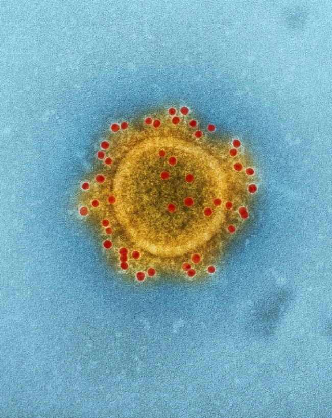 Cancer Cases 2026 India-1-2-3-4-5-6-7-8