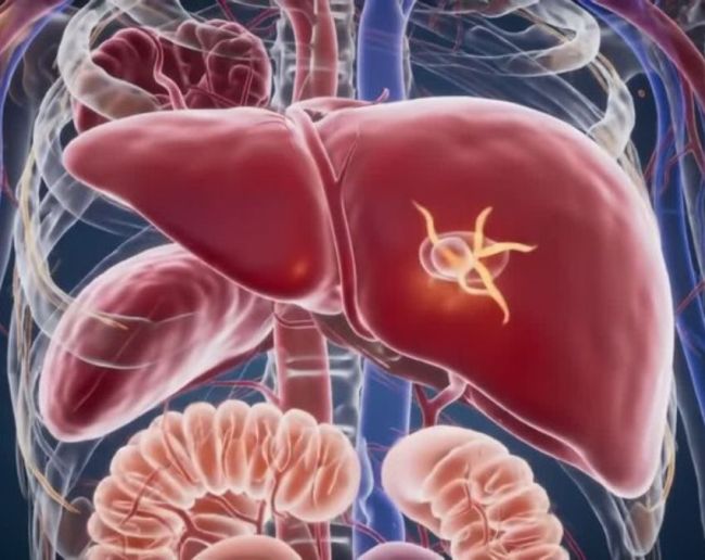 Liver Damage Tips-1-2