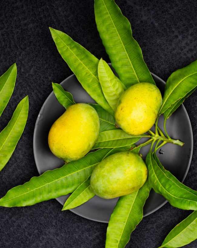 Aam Khane Ka Sahi Tarika Diabetes Mein-1-2-3-4-5-6