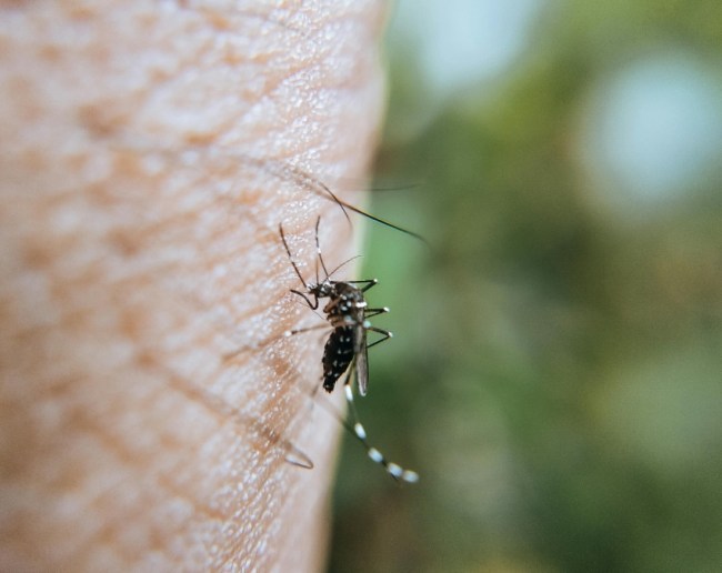 Brain Malaria Symptoms-1-2-3-4