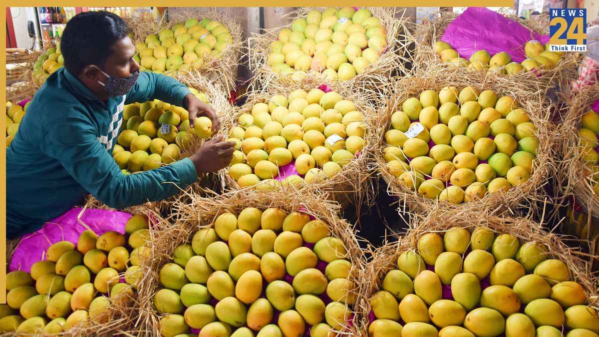 Mangoes Front