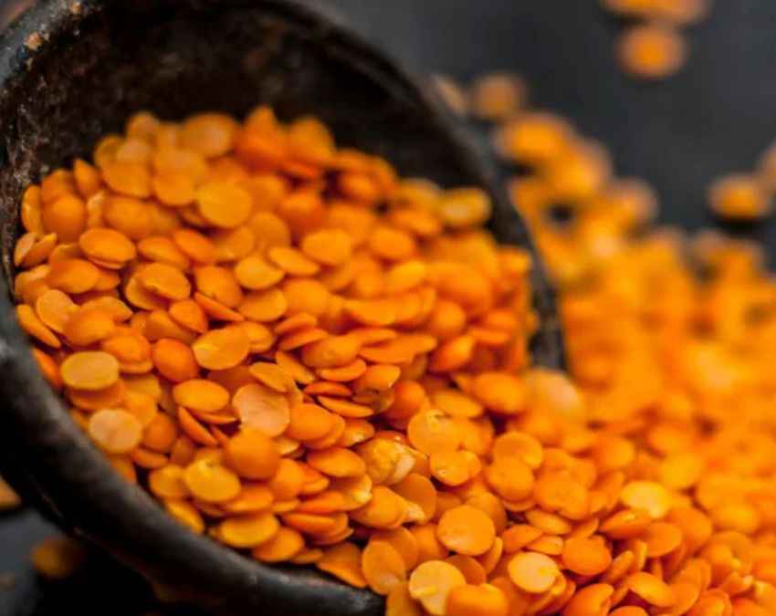 हाई प्रोटीन स्रोत 