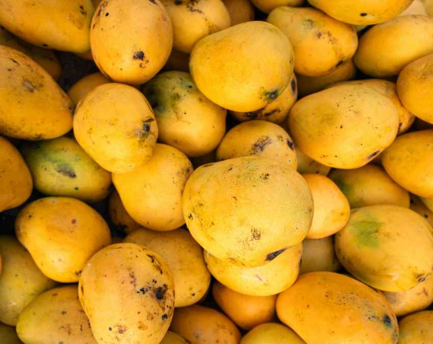 फलों को केमिकल से पकाने पर सख्त नियम