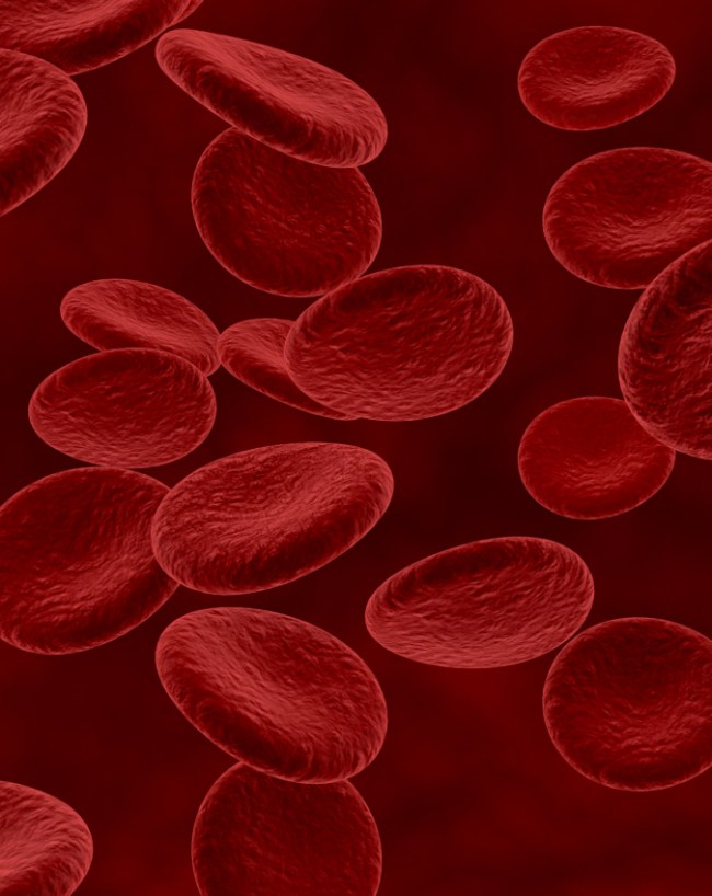 Hemophilia men Problem Bleeding-1-2-3-4-5-6-7-8-9