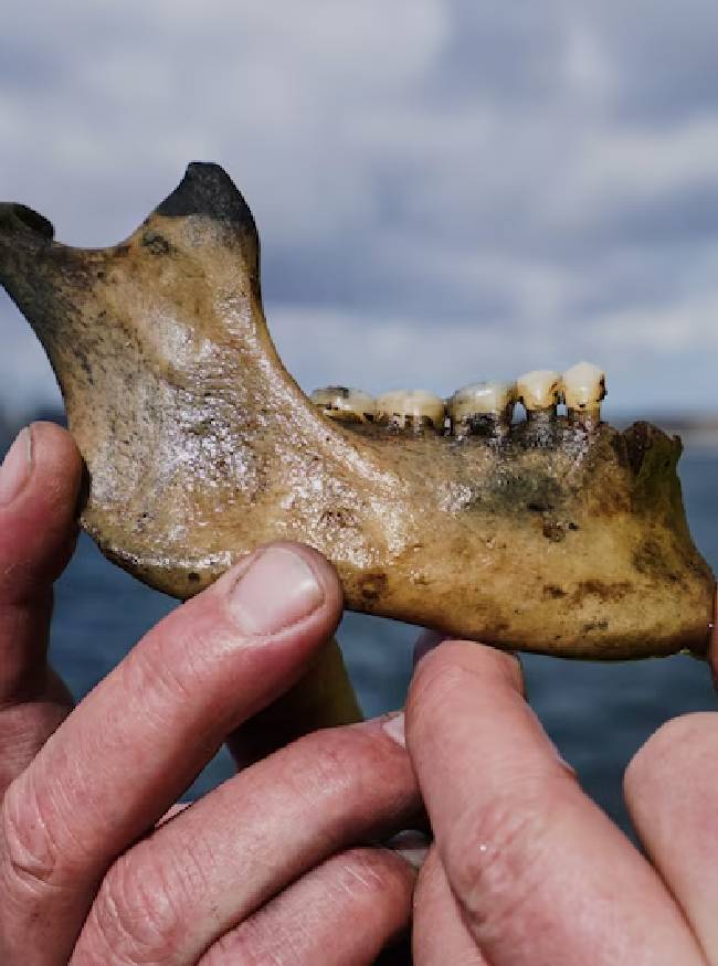 Ocean Discovery-1-2-3