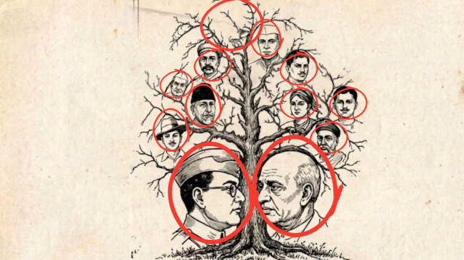 Optical Illusion Test-1-2-3-4-5-6-7