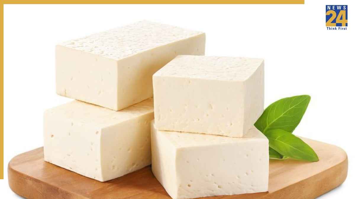 Paneer In English