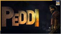 Peddi